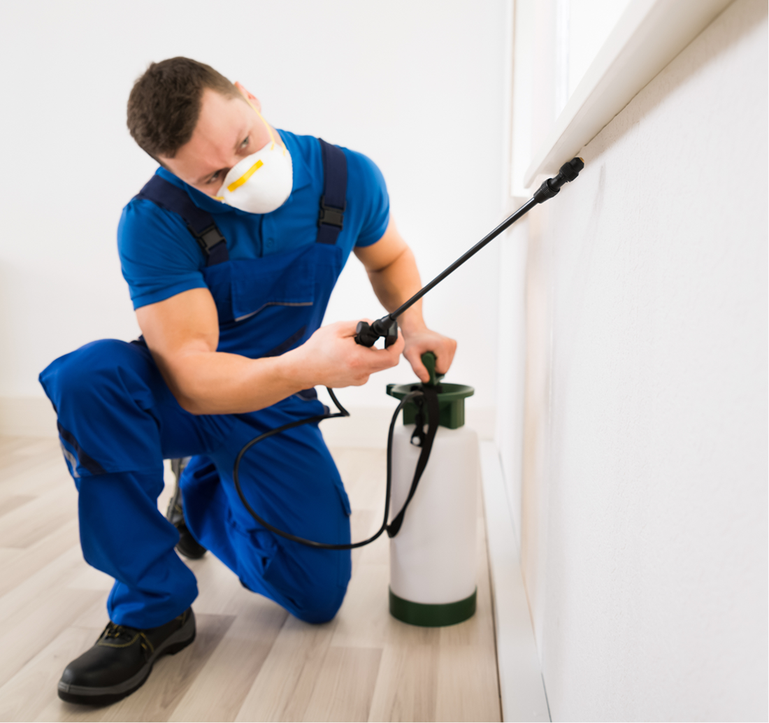 Professional pest control technician spraying insecticide inside a home.