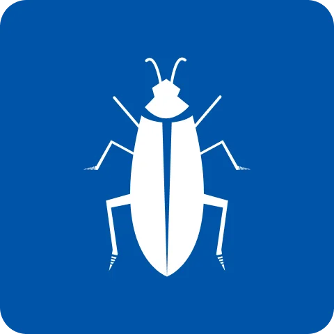 Roach Control & Elimination