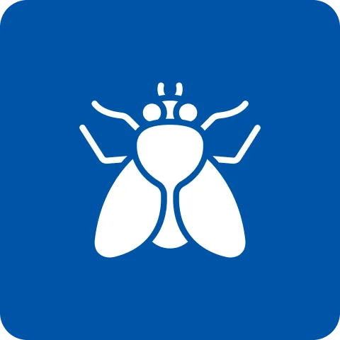 Fly Management & Control