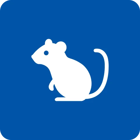 Rodent Elimination