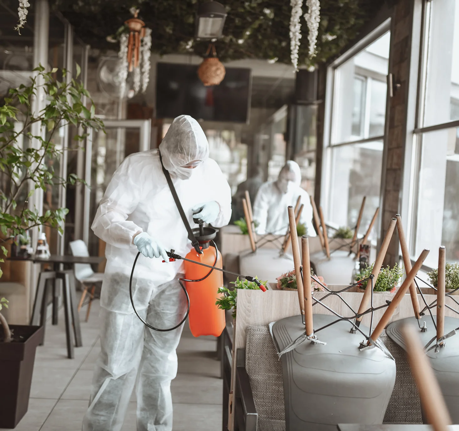 Disinfection process in a cafe